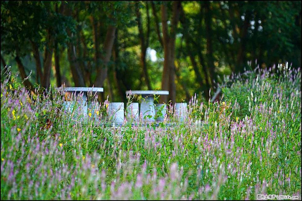 【春天，广西桂林灌阳县向您发出邀请！】熊家寨湿地公园 - 游山玩水 - 铜仁生活社区 - 铜仁28生活网 tr.28life.com