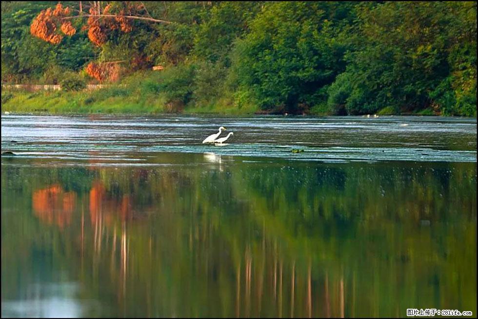 【春天，广西桂林灌阳县向您发出邀请！】熊家寨湿地公园 - 游山玩水 - 铜仁生活社区 - 铜仁28生活网 tr.28life.com