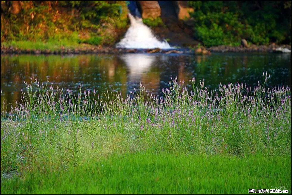 【春天，广西桂林灌阳县向您发出邀请！】熊家寨湿地公园 - 游山玩水 - 铜仁生活社区 - 铜仁28生活网 tr.28life.com