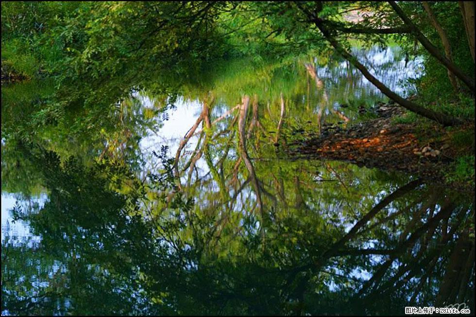 【春天，广西桂林灌阳县向您发出邀请！】熊家寨湿地公园 - 游山玩水 - 铜仁生活社区 - 铜仁28生活网 tr.28life.com