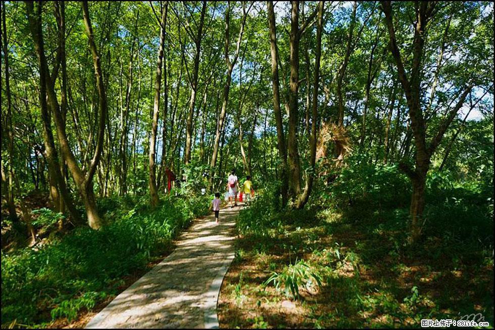 【春天，广西桂林灌阳县向您发出邀请！】熊家寨湿地公园 - 游山玩水 - 铜仁生活社区 - 铜仁28生活网 tr.28life.com