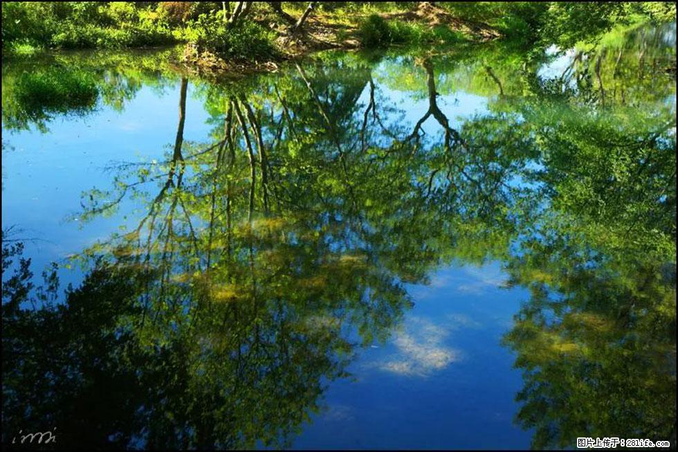 【春天，广西桂林灌阳县向您发出邀请！】熊家寨湿地公园 - 游山玩水 - 铜仁生活社区 - 铜仁28生活网 tr.28life.com