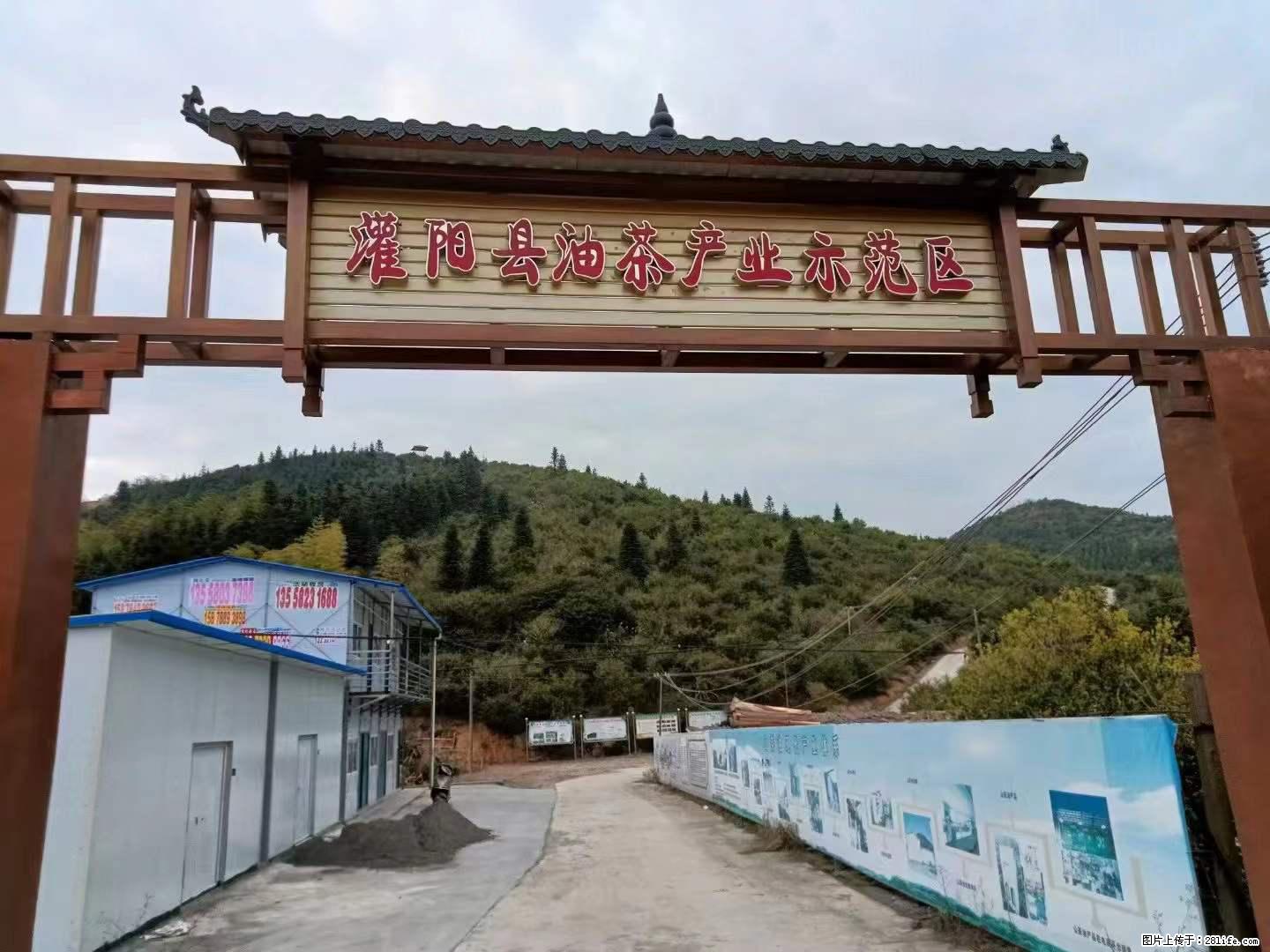 【灌阳县油茶产业示范区】一个有着充实的精神生活的人,对待身外之物自会有一种淡泊的态度 - 土特产 - 饮食特产 - 铜仁分类信息 - 铜仁28生活网 tr.28life.com