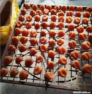 广西桂林平乐桥亭【柿饼之乡】2025年纯手工制作、无任何添加剂的第一批柿饼准备上市了，欢迎联系订购！ - 铜仁28生活网 tr.28life.com