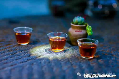 时间果百年古树2025年春红茶 - 购物交流 - 铜仁生活社区 - 铜仁28生活网 tr.28life.com