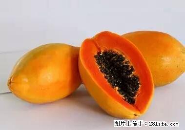 晕车、脚气、牙齿变黄、皮肤粗糙？学会这些三分钟搞定！ - 铜仁生活资讯 - 铜仁28生活网 tr.28life.com