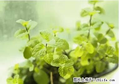 晕车、脚气、牙齿变黄、皮肤粗糙？学会这些三分钟搞定！ - 铜仁生活资讯 - 铜仁28生活网 tr.28life.com