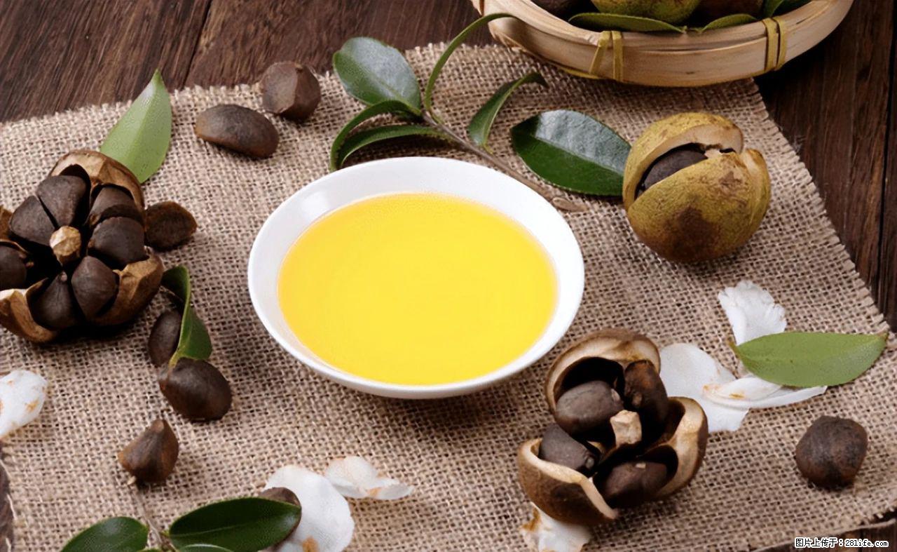 揭秘茶油的5大核心营养成分！被称为人体健康的“守护盾”！ - 铜仁生活资讯 - 铜仁28生活网 tr.28life.com