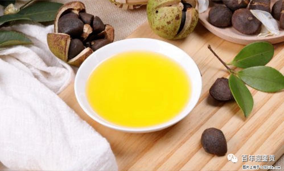揭秘茶油的5大核心营养成分！被称为人体健康的“守护盾”！ - 铜仁生活资讯 - 铜仁28生活网 tr.28life.com