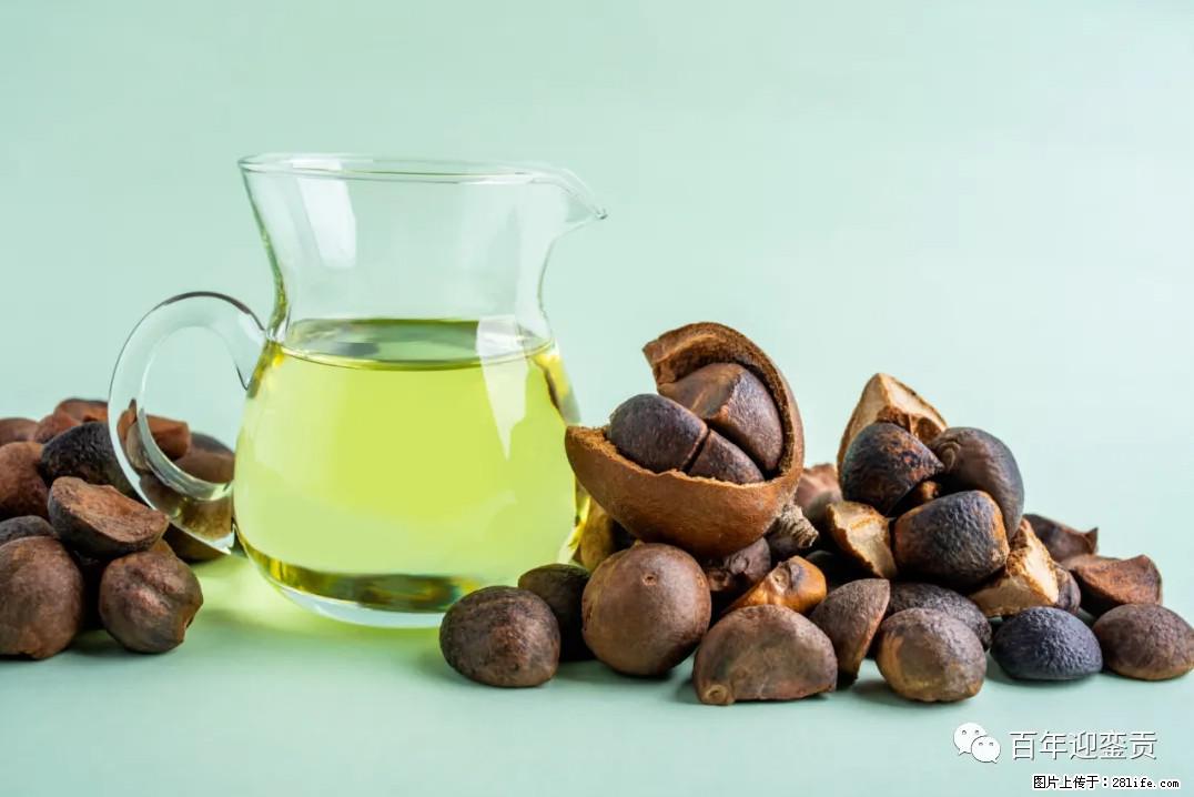 世界没有真相，只有认知，最好的食用油是中国的山茶油！ - 铜仁生活资讯 - 铜仁28生活网 tr.28life.com