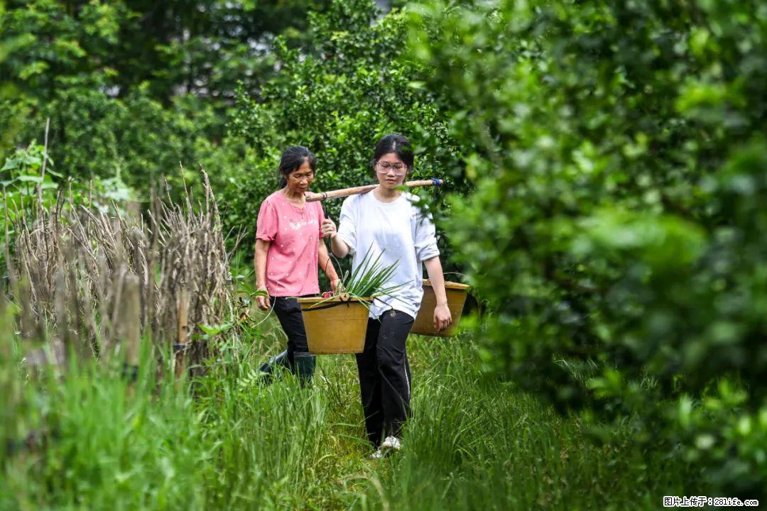 全网追的“扁担女孩”,找了一份暑假工,时薪12元 - 铜仁生活资讯 - 铜仁28生活网 tr.28life.com