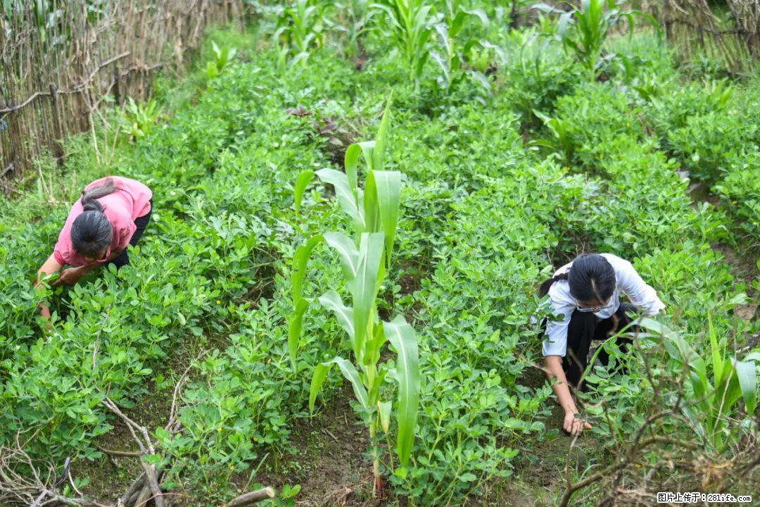 全网追的“扁担女孩”,找了一份暑假工,时薪12元 - 铜仁生活资讯 - 铜仁28生活网 tr.28life.com
