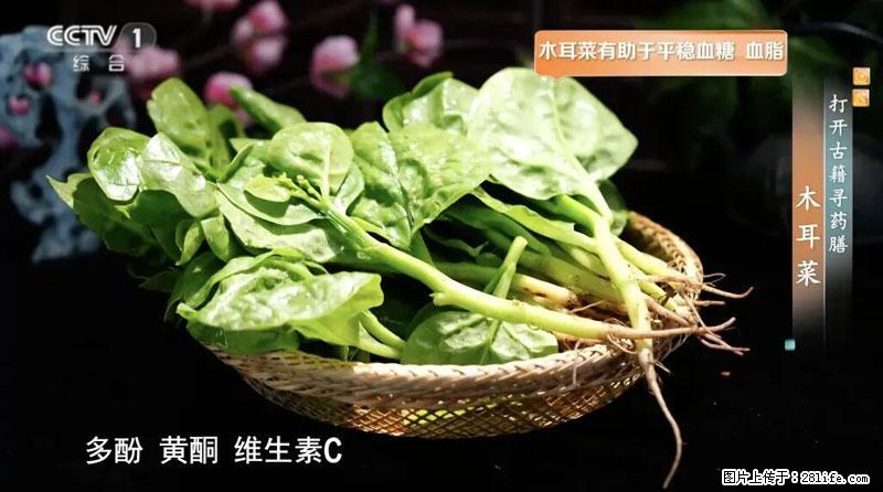 比牛奶补钙还厉害!凉血解毒、稳血糖...这菜冬天必吃,很多人却当草 - 铜仁生活资讯 - 铜仁28生活网 tr.28life.com