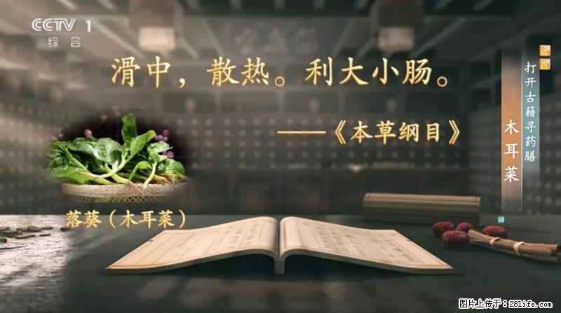 比牛奶补钙还厉害!凉血解毒、稳血糖...这菜冬天必吃,很多人却当草 - 铜仁生活资讯 - 铜仁28生活网 tr.28life.com