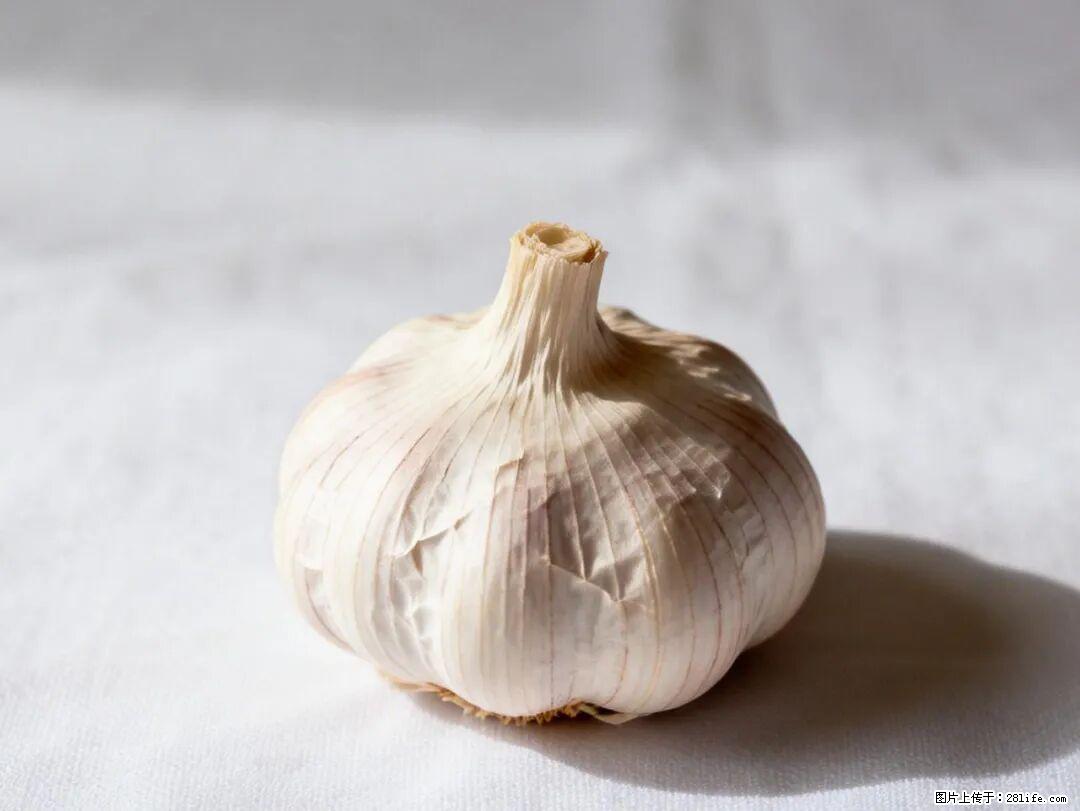 关于大蒜，除了“天然抗生素”，这4个谣言更该警惕! - 铜仁生活资讯 - 铜仁28生活网 tr.28life.com