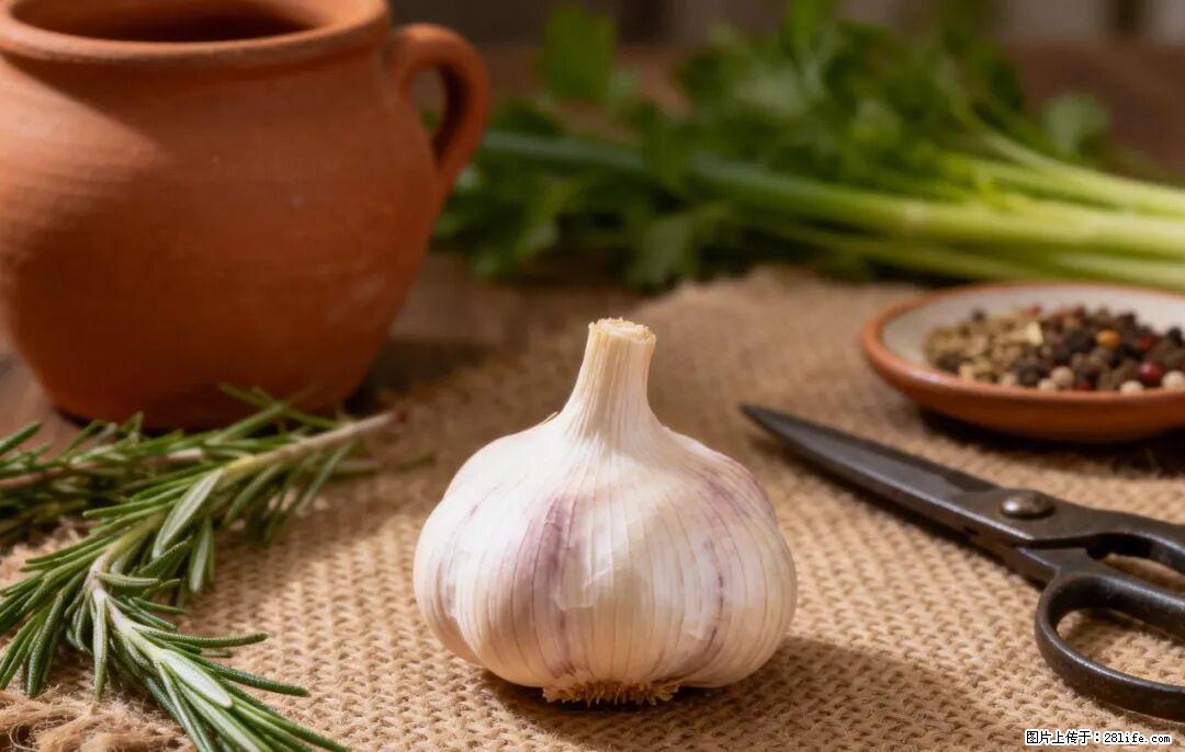 关于大蒜，除了“天然抗生素”，这4个谣言更该警惕! - 铜仁生活资讯 - 铜仁28生活网 tr.28life.com