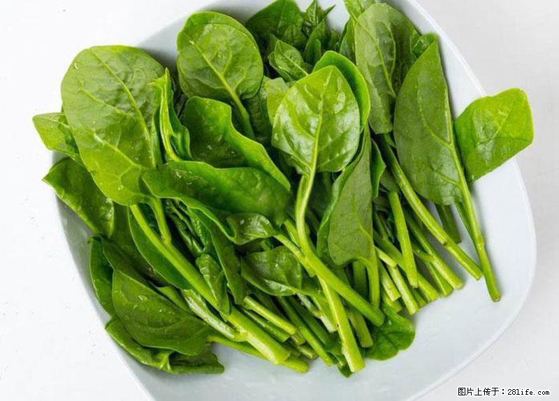 这些蔬菜是“天然钙片”，这6种被医生重点推荐 - 铜仁生活资讯 - 铜仁28生活网 tr.28life.com