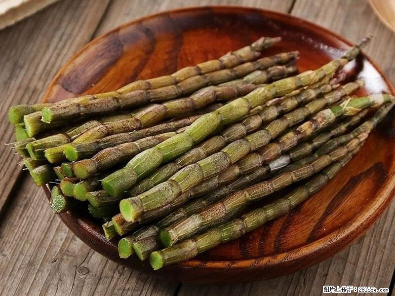 铁皮石斛的作用与功能主治 - 铜仁生活资讯 - 铜仁28生活网 tr.28life.com