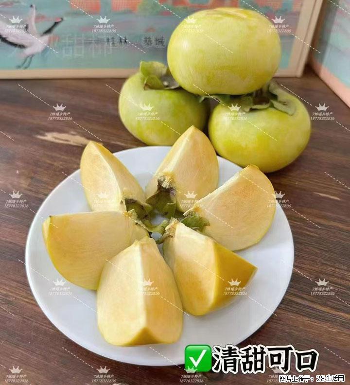 广西桂林平乐桥亭【红心猕猴桃】、【大秋甜柿】上市啦,欢迎各位新老客户下单(另有少量小果出售) - 铜仁生活资讯 - 铜仁28生活网 tr.28life.com